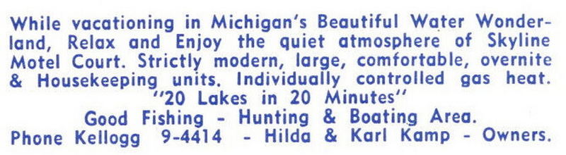 Skyline Tourist Homes - Vintage Postcard (newer photo)